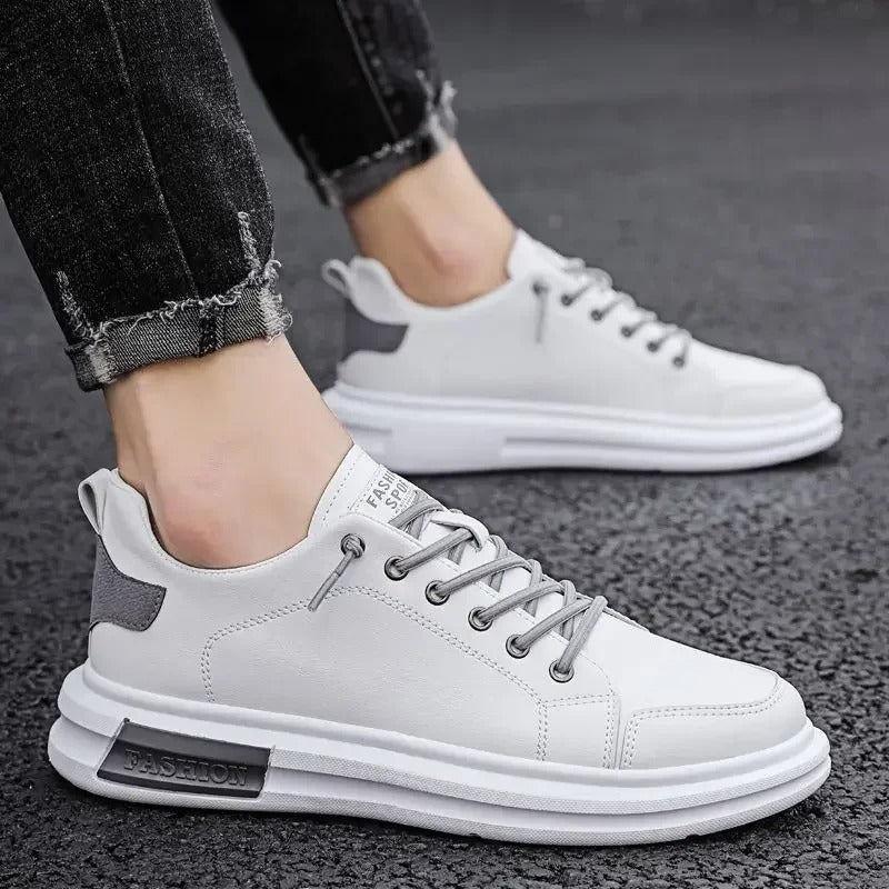 gid://shopify/MediaImage/24692163838046