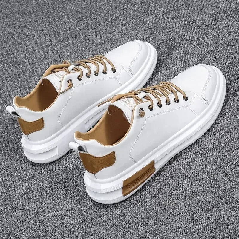 gid://shopify/MediaImage/24692163903582